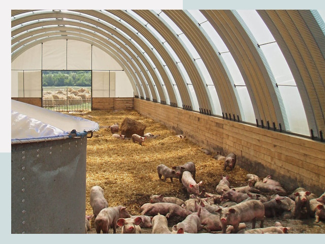 Строительство свинарников в Кондопоге