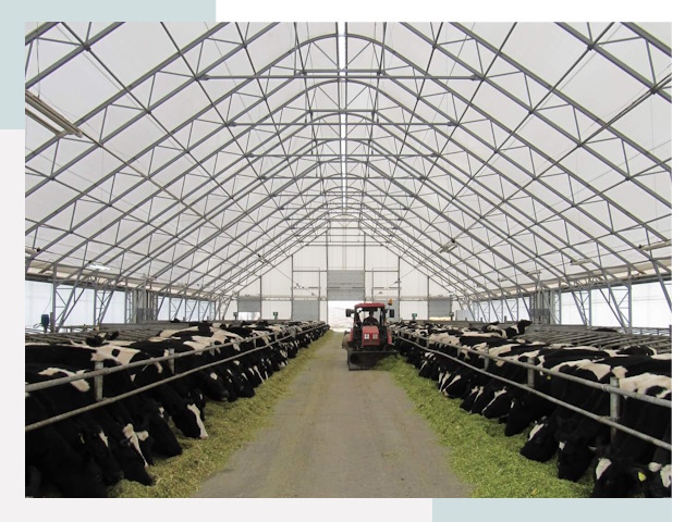 Тентовые коровники в Кондопоге от 609 руб. - Надежно и доступно